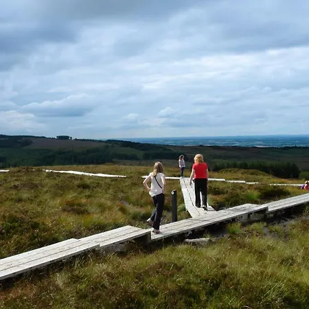 Oak House Laois فندق مبيت وإفطار