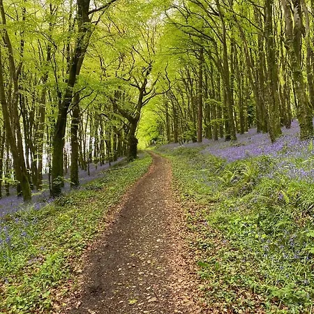 Oak House Laois