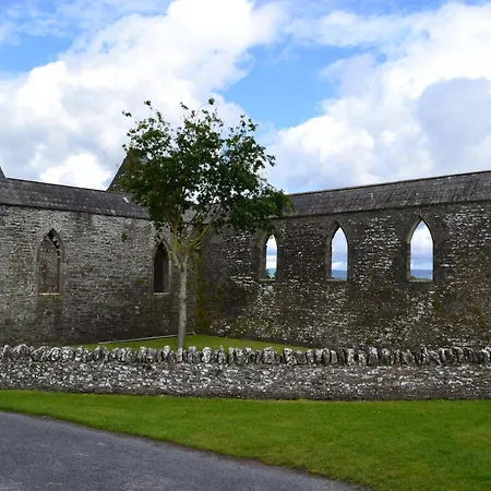 Oak House Laois Портарлингтон