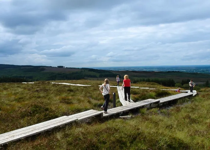 Oak House Laois Frühstückspension